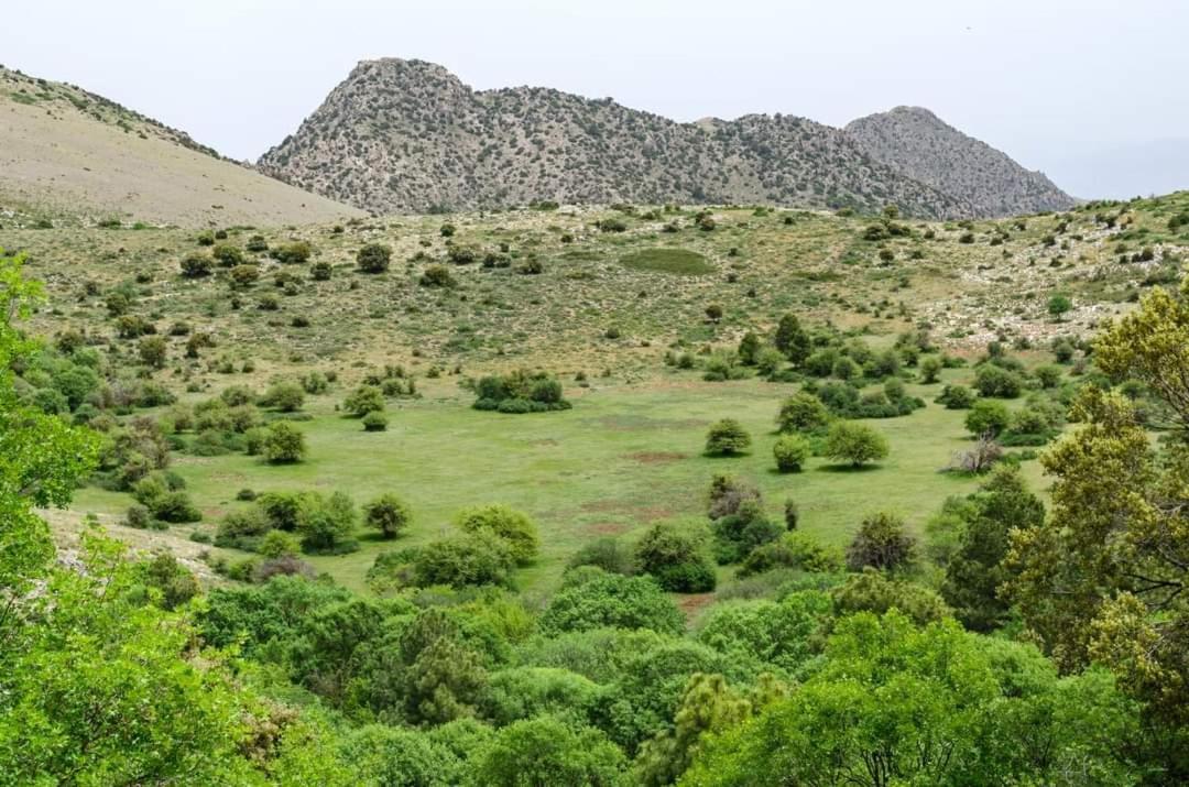 בית הארחה Bélmez de la Moraleda 	Casa Rural Casa Gonzalo מראה חיצוני תמונה