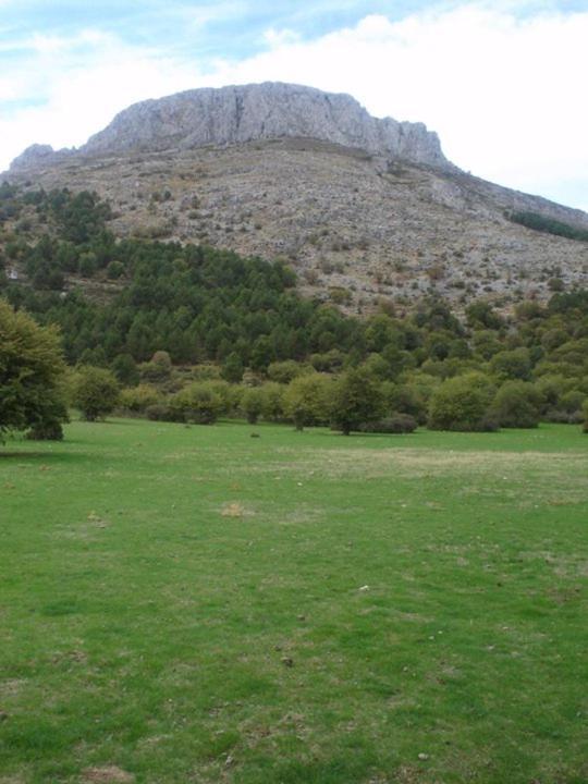 בית הארחה Bélmez de la Moraleda 	Casa Rural Casa Gonzalo מראה חיצוני תמונה