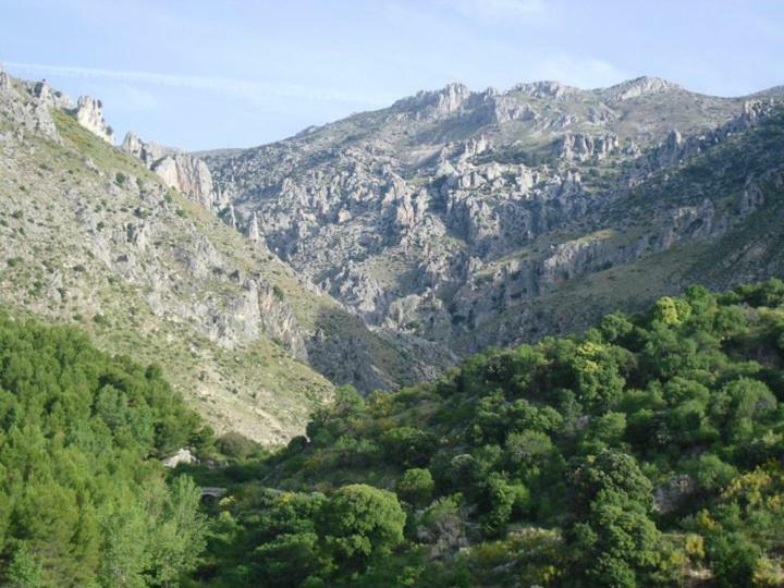 בית הארחה Bélmez de la Moraleda 	Casa Rural Casa Gonzalo מראה חיצוני תמונה